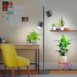 Illuminate Your Space With The Stunning Shrih Decorative Floor Lamp! 🌟 As A Leading Importer Of Unique Lighting Solutions, We Bring You High-Quality Products That Enhance Any Ambiance. Explore Our Collection Today! Visit Us At Www.Decorativelighting.Shrihtrading.Com Or Call/Whatsapp: +918169390366. #Shrih #Decorativelighting #Lightingsolutions